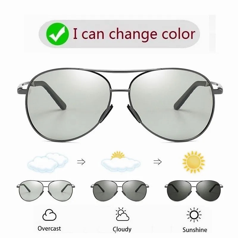 Alloy Polarized Sunglasses